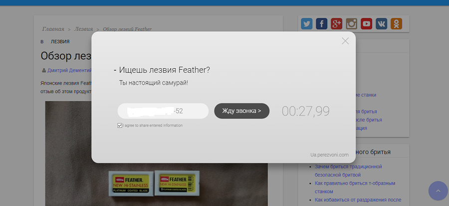 Такое сообщение видит пользователь, попавший на тестовый ресурс по запросу «лезвия Feather»